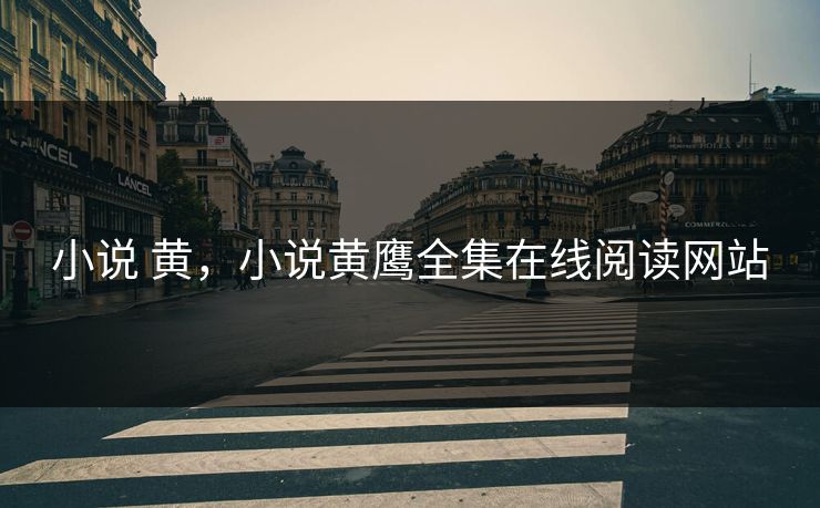 小说 黄，小说黄鹰全集在线阅读网站