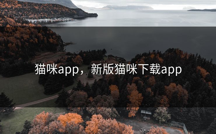猫咪app，新版猫咪下载app