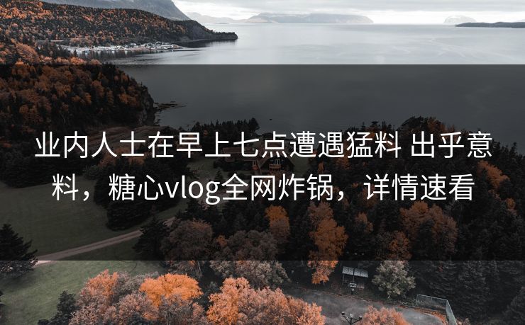 业内人士在早上七点遭遇猛料 出乎意料，糖心vlog全网炸锅，详情速看