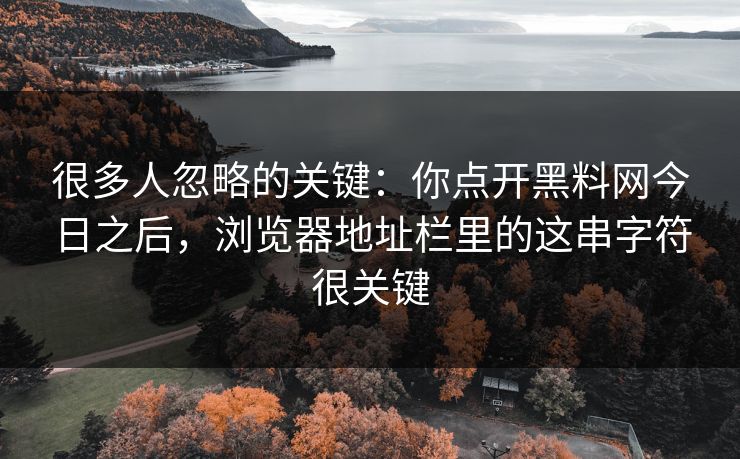很多人忽略的关键：你点开黑料网今日之后，浏览器地址栏里的这串字符很关键